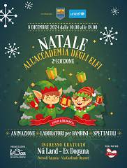 Natale all'accademia degli elfi